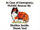 " In case of emergency, please rescue my shelties"