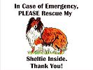 " In case of emergency, please rescue my sheltie"