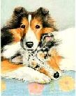 Pam Poole print "Best Friends"